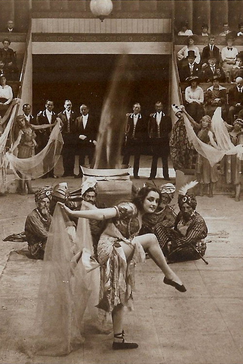 Movie poster for Des Lebens ungemischte Freude (1917)