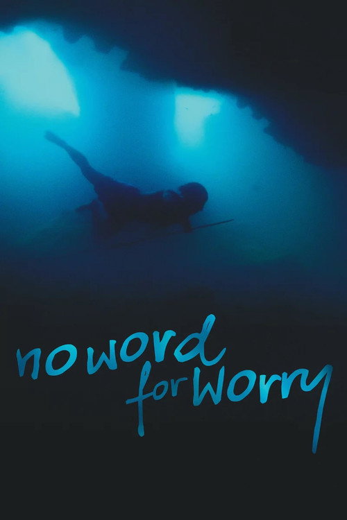 Movie poster for No Word For Worry (2014)