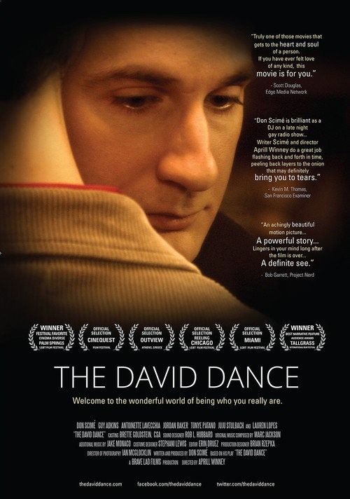 Movie poster for The David Dance (2014)