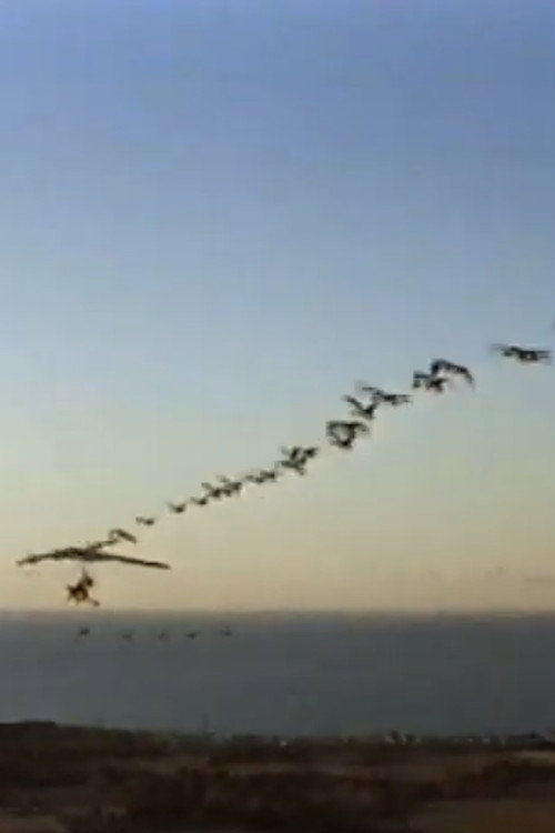Movie poster for The Ultra Geese (1998)