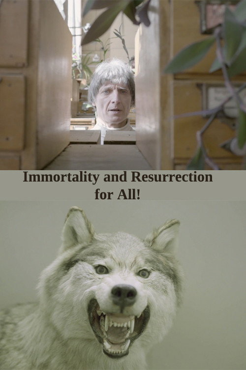 Movie poster for Immortality and Resurrection For All! (2017)