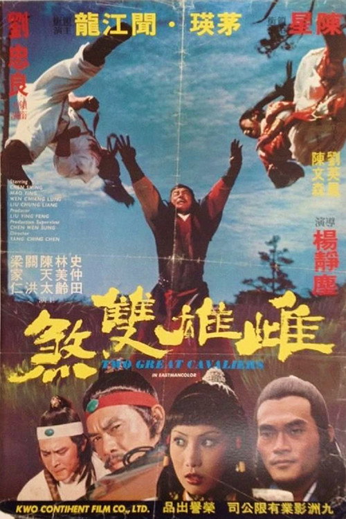Movie poster for Deadly Duo (1978)