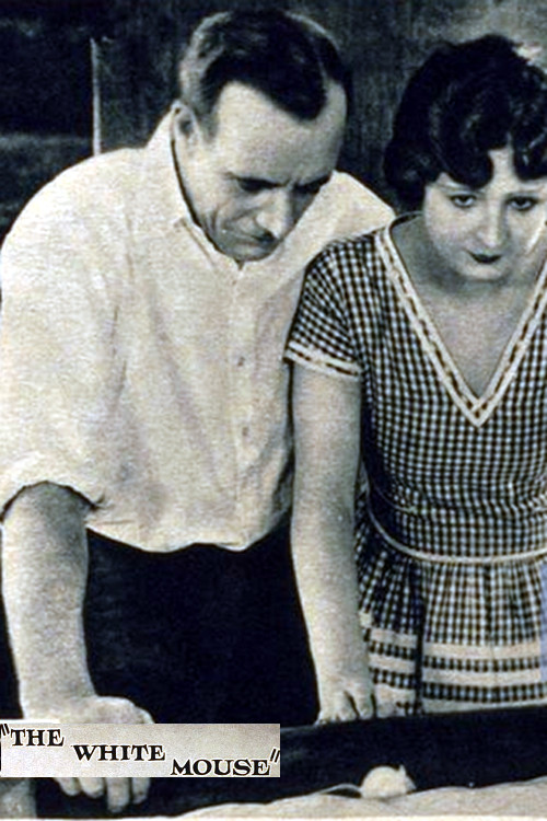 Movie poster for The White Mouse (1921)