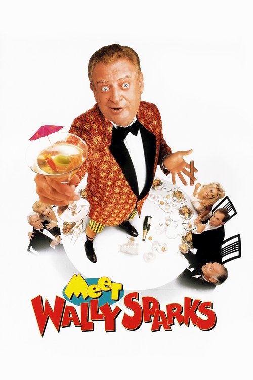 Movie poster for Meet Wally Sparks (1997)
