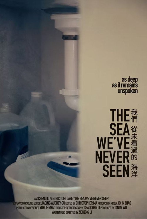 Movie poster for The Sea We've Never Seen (2022)