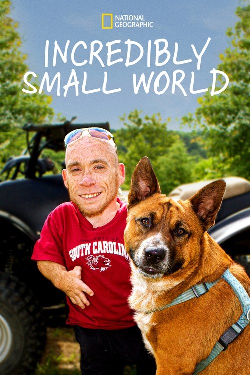 Series poster for Incredibly Small World (2014)