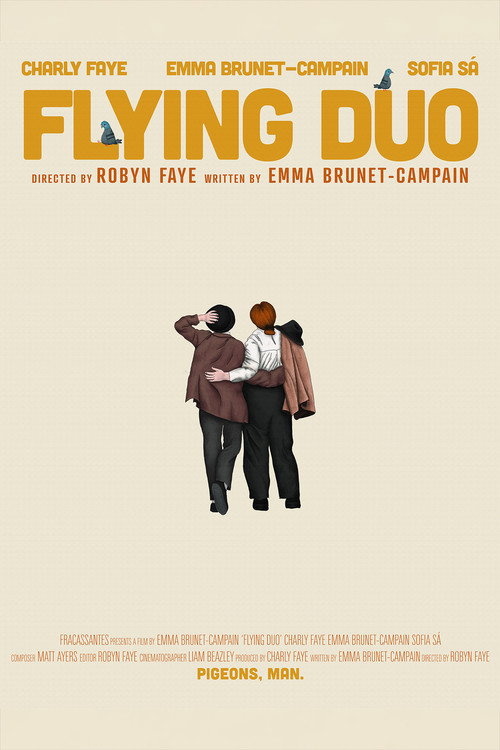 Movie poster for Flying Duo