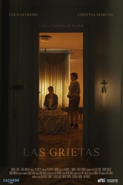 Movie poster for The Cracks (2020)