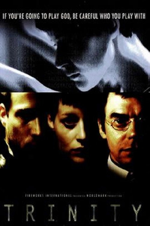 Movie poster for Trinity (2003)