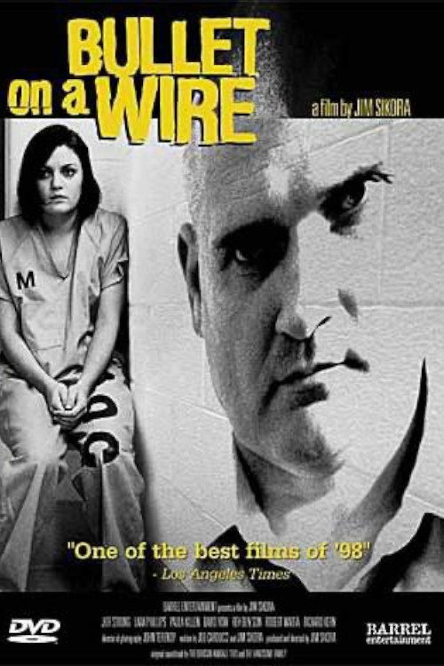 Movie poster for Bullet on a Wire (1998)