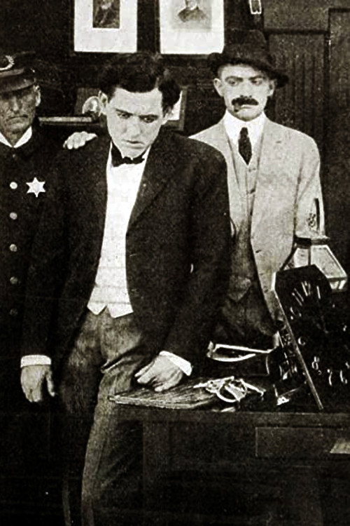 Movie poster for The Flaw in the Alibi (1914)