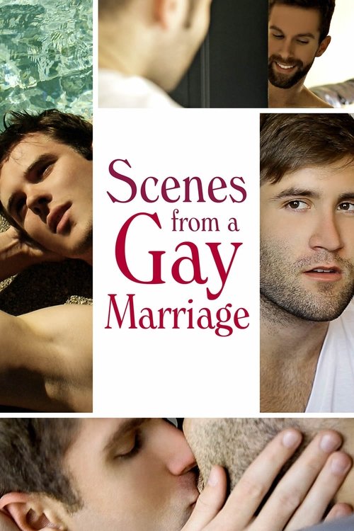 Movie poster for Scenes from a Gay Marriage (2012)