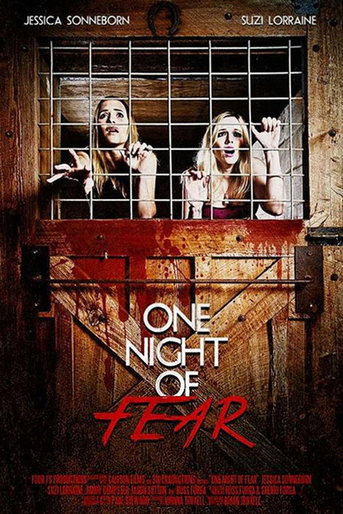 Movie poster for One Night of Fear (2016)
