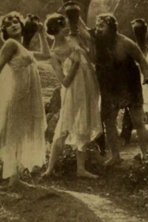 Movie poster for Her Nature Dance (1917)