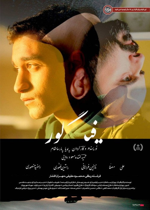 Movie poster for Figure