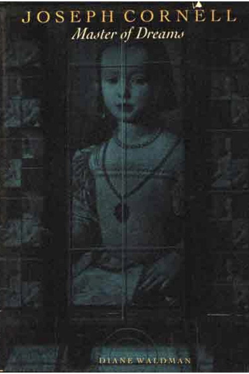 Movie poster for Cinderella's Dream