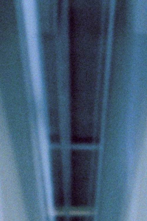 Movie poster for Untitled (Generali Foundation Vienna) (2015)