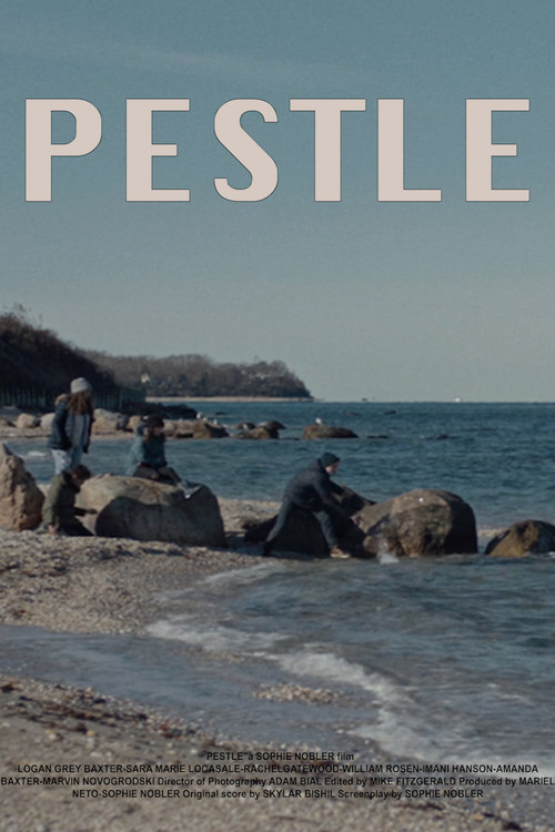 Movie poster for Pestle