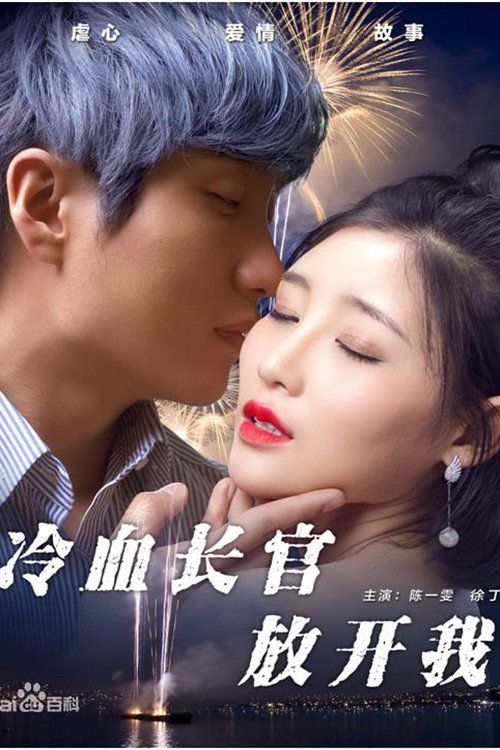 Movie poster for 冷血长官放开我 (2017)