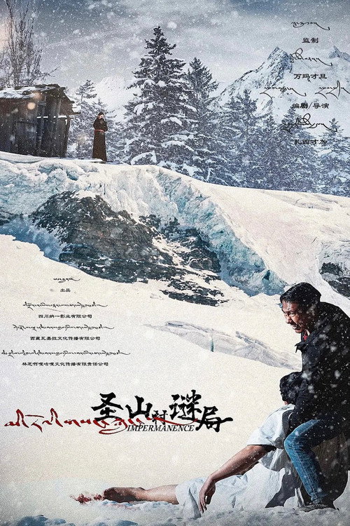 Movie poster for Impermanence (2021)
