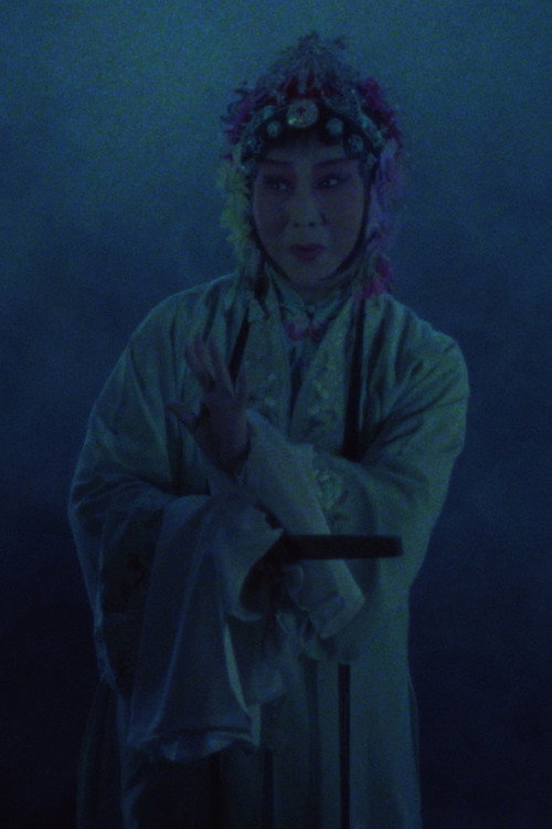 Movie poster for The Peony Pavilion (1988)