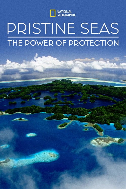 Movie poster for Pristine Seas: The Power of Protection (2021)