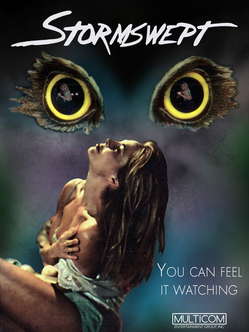 Movie poster for Stormswept (1995)
