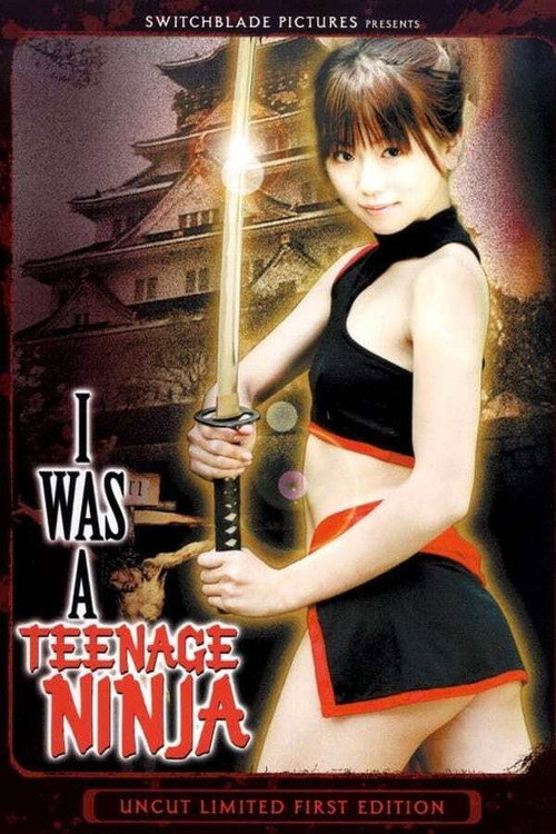 Movie poster for I Was A Teenage Ninja (2007)