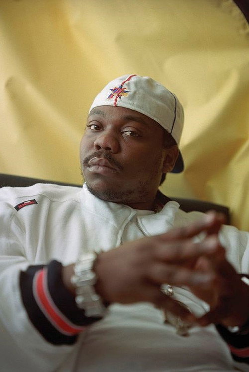 Photo of Beanie Sigel, Acting