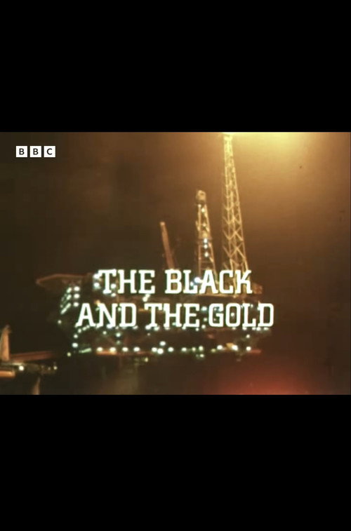 Movie poster for The Black and the Gold (1980)