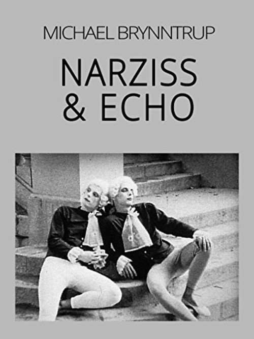 Movie poster for Narcissus & Echo (1990)