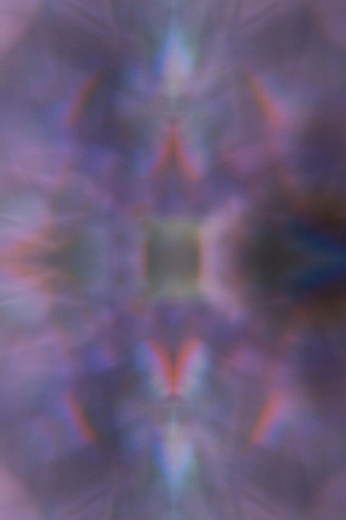 Movie poster for Orchid (2025)