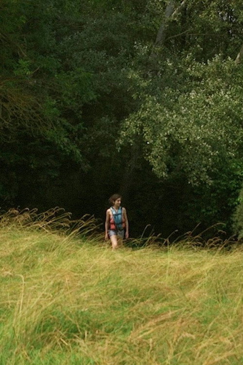 Movie poster for L'Amie du dimanche (2018)