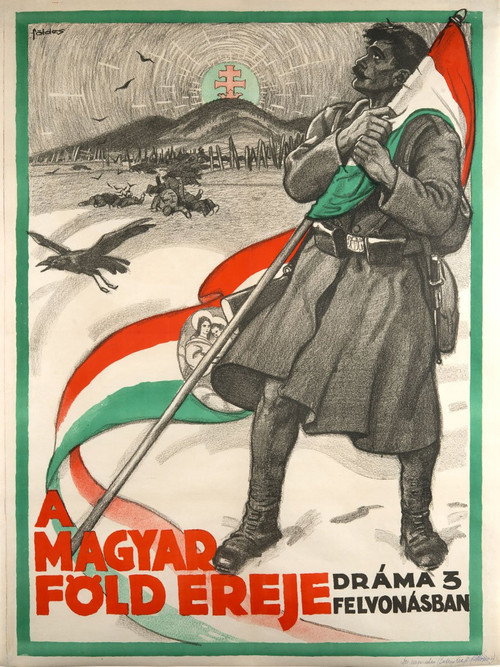 Movie poster for A magyar föld ereje (1917)