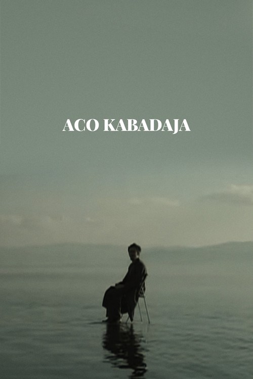Movie poster for Aco Kabadaya (2011)