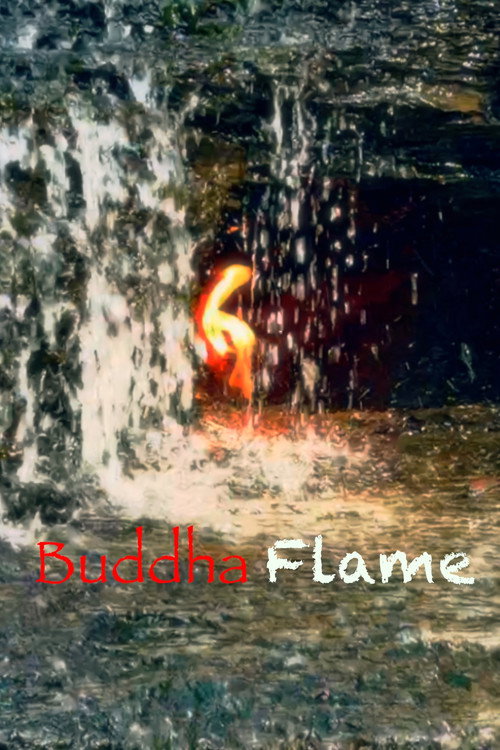 Movie poster for Buddha Flame