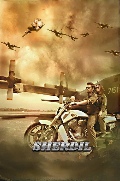 Movie poster for Sherdil (2019)