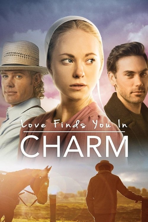 Movie poster for Love Finds You in Charm (2015)