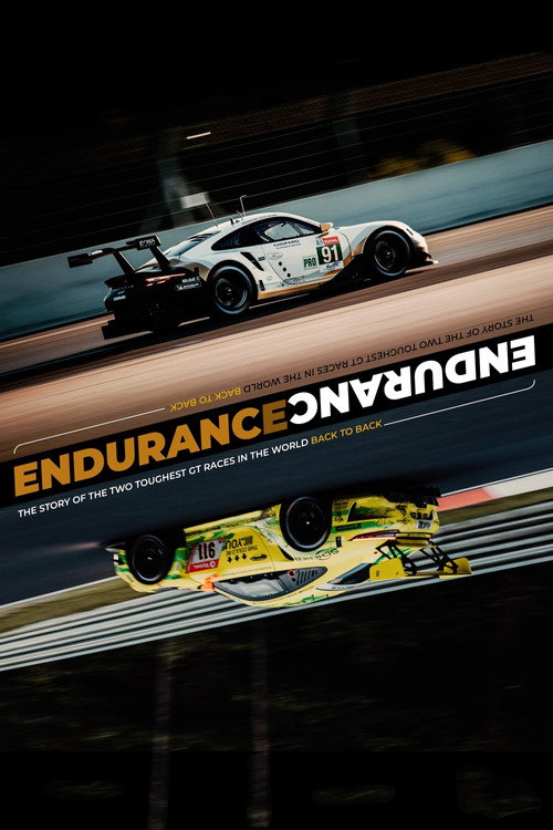 Movie poster for ENDURANCE (2020)