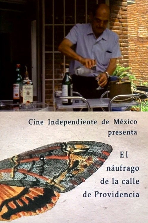 Movie poster for The Castaway on the Street of Providence (1971)