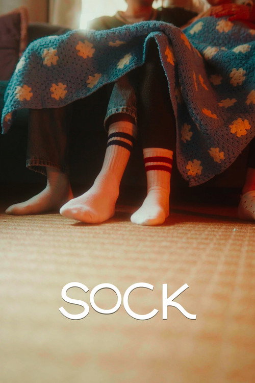 Movie poster for Sock