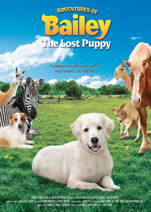 Movie poster for Adventures of Bailey: The Lost Puppy (2011)