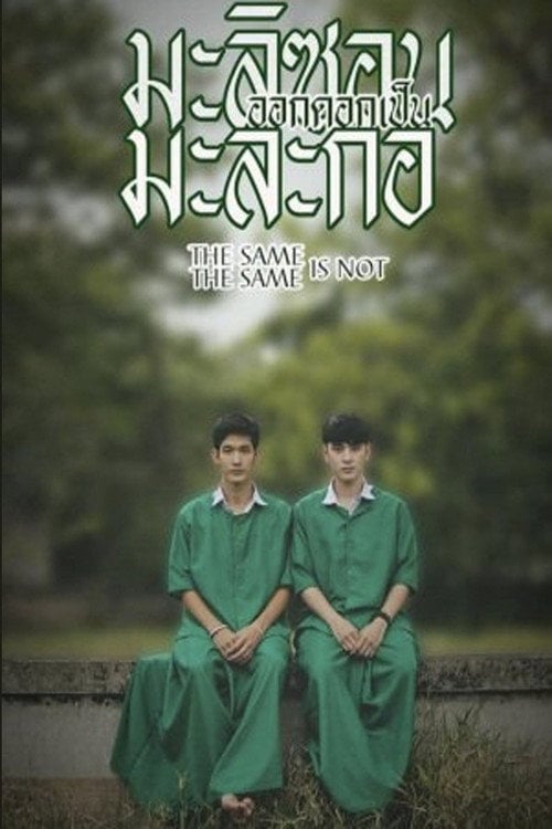 Movie poster for Same Same is Not the Same (2015)