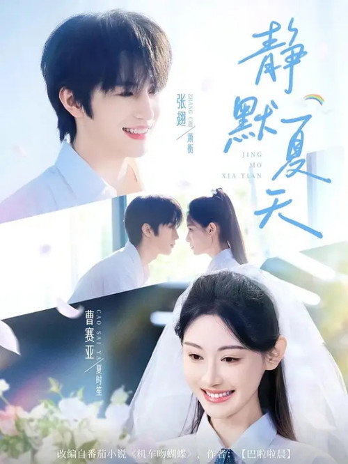 静默夏天 poster