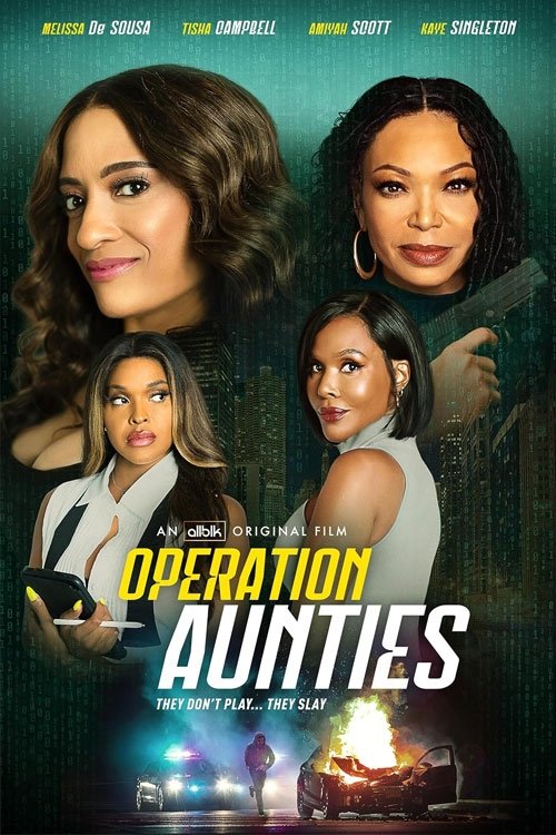 Movie poster for Operation: Aunties (2025)