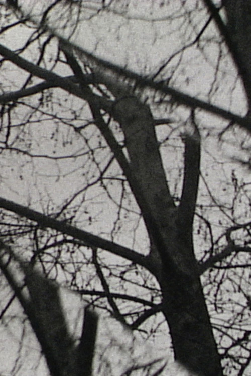 Movie poster for Triple Exposure (2013)