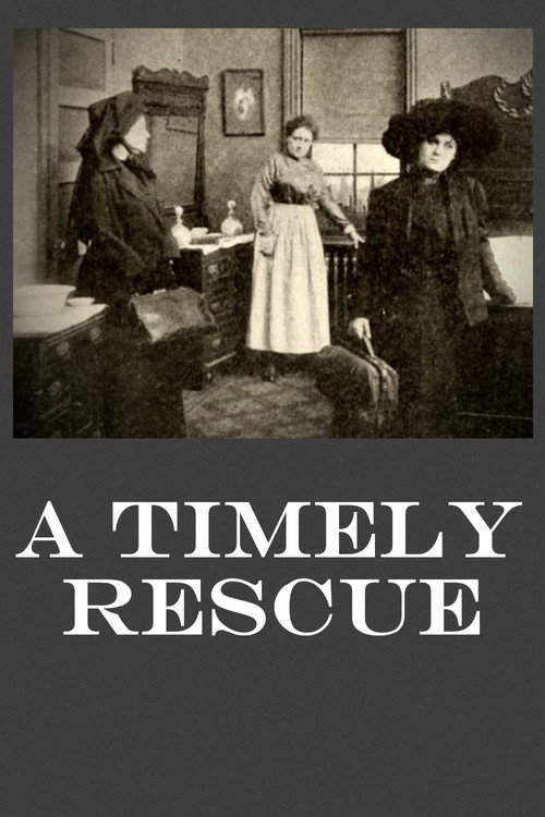 Movie poster for A Timely Rescue (1913)
