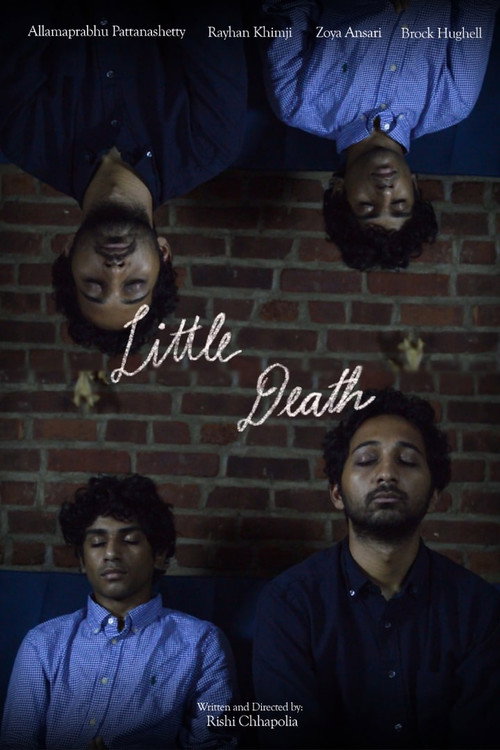 Movie poster for Little Death