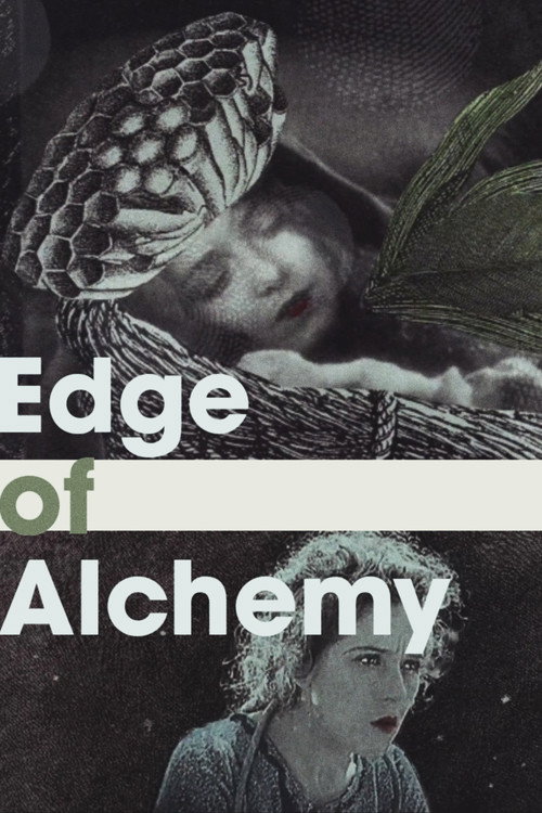 Movie poster for Edge of Alchemy (2017)