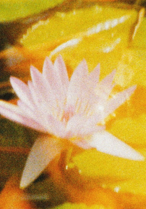 Movie poster for Nuestro Fuji (Una postal) (2019)